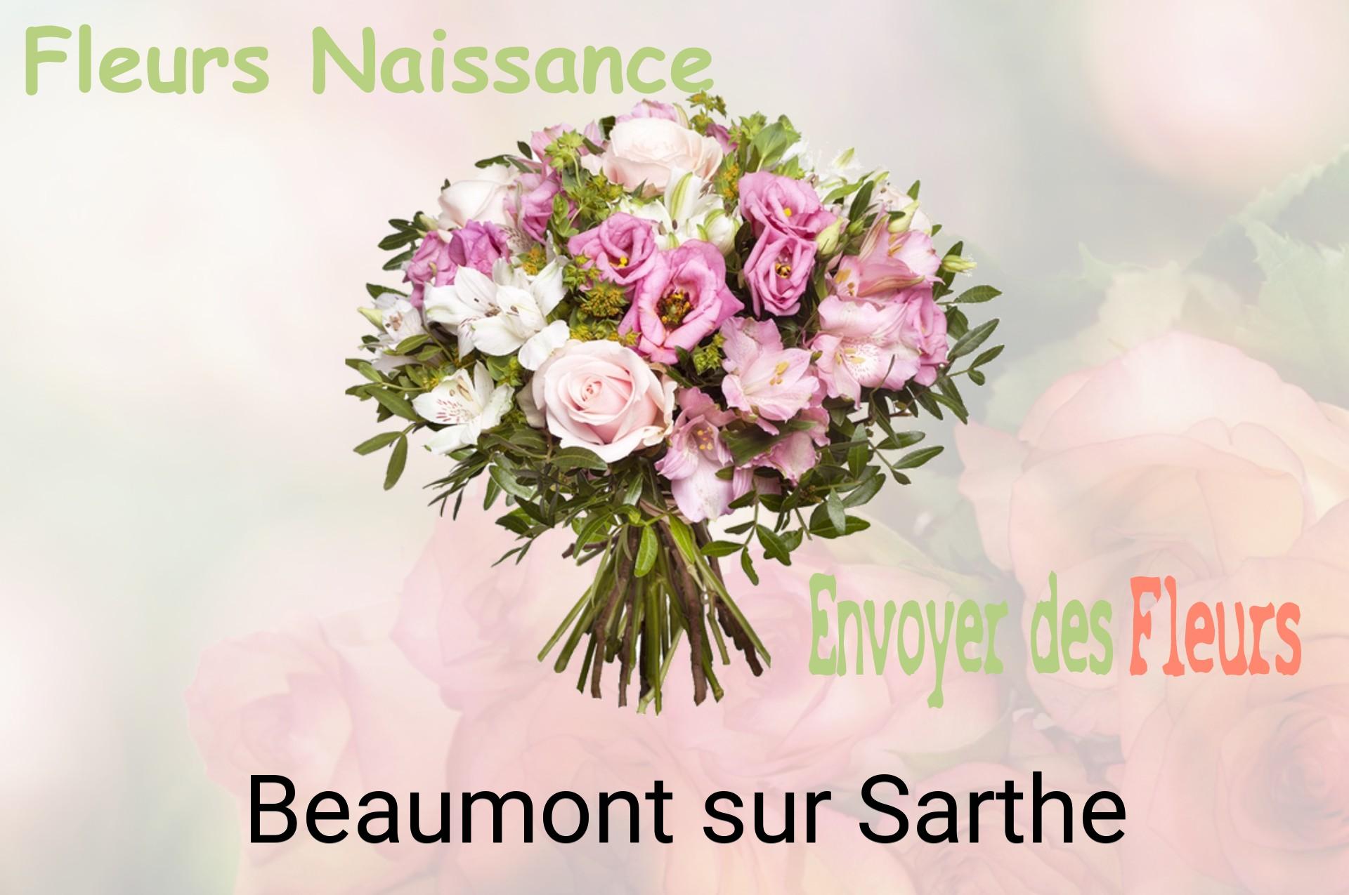 Bouquet de fleurs de naissance livré à Beaumont-sur-Sarthe